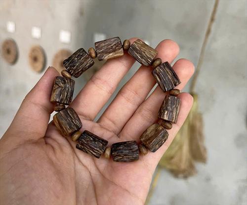 Vì sao trầm hương tự nhiên lại đắt đỏ? Và tại sao có nhiều mức giá khác nhau?